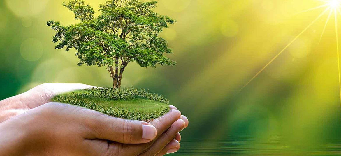 10 نصائح لحياة خضراء