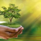 10 نصائح لحياة خضراء