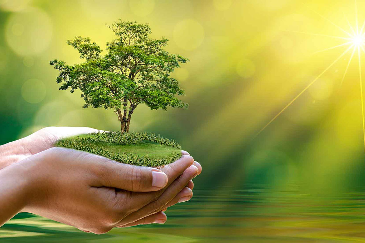 10 نصائح لحياة خضراء