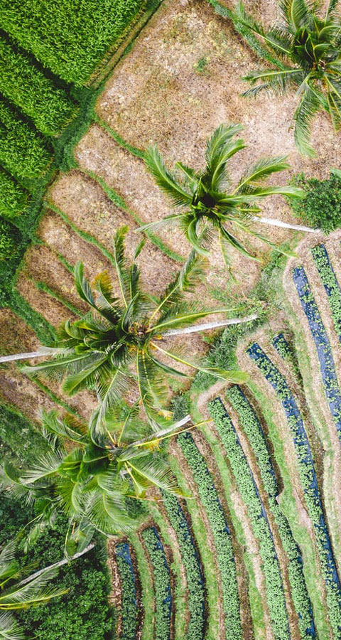 الأهداف الإستراتيجية