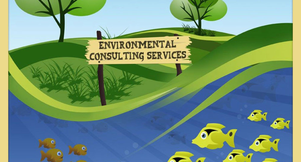 Environmental Consulting