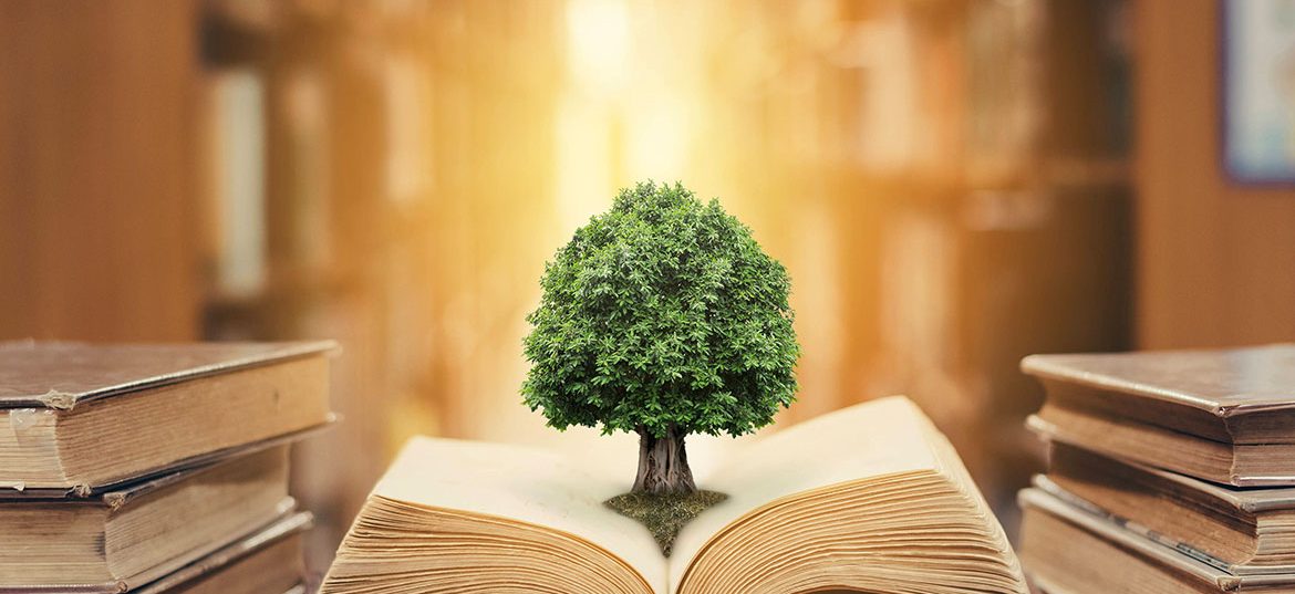 Environmentally Friendly Curriculum in Egypt