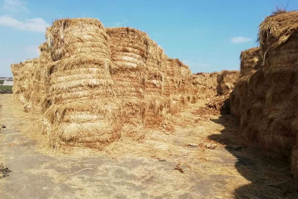 Environment announces that 518 thousand tons of rice straw have been collected