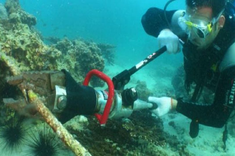 حماية البيئة البحرية