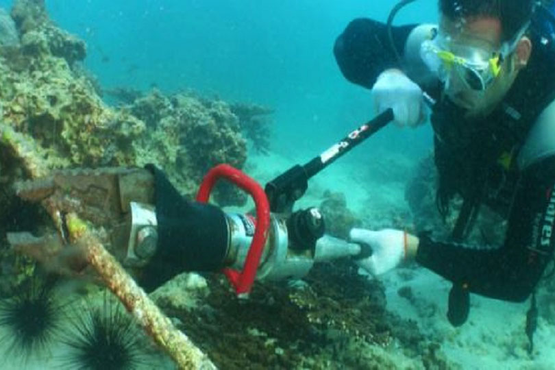 حماية البيئة البحرية